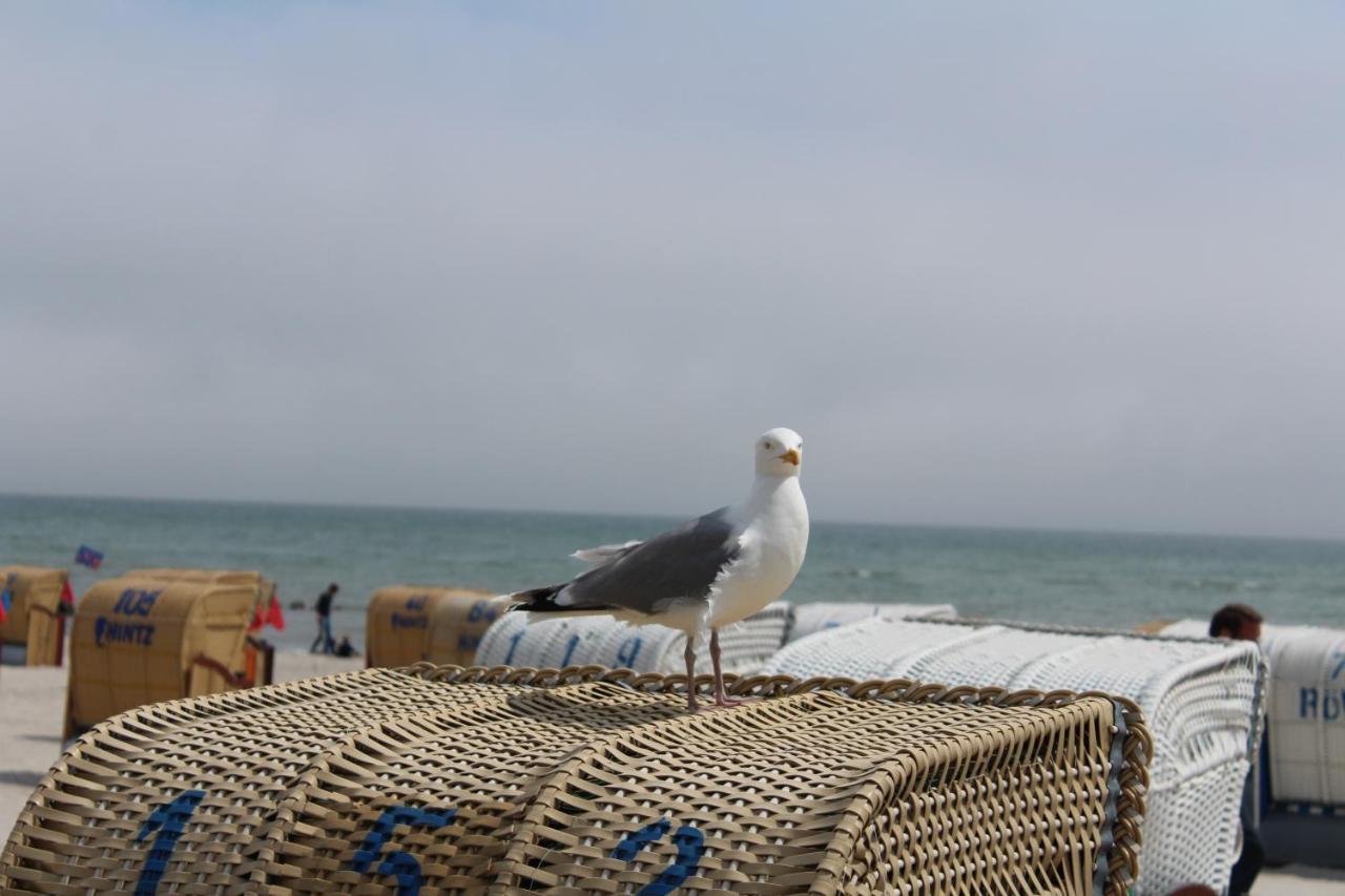 Ferienwohnungen Im Haus Strandburg 그로미츠 외부 사진