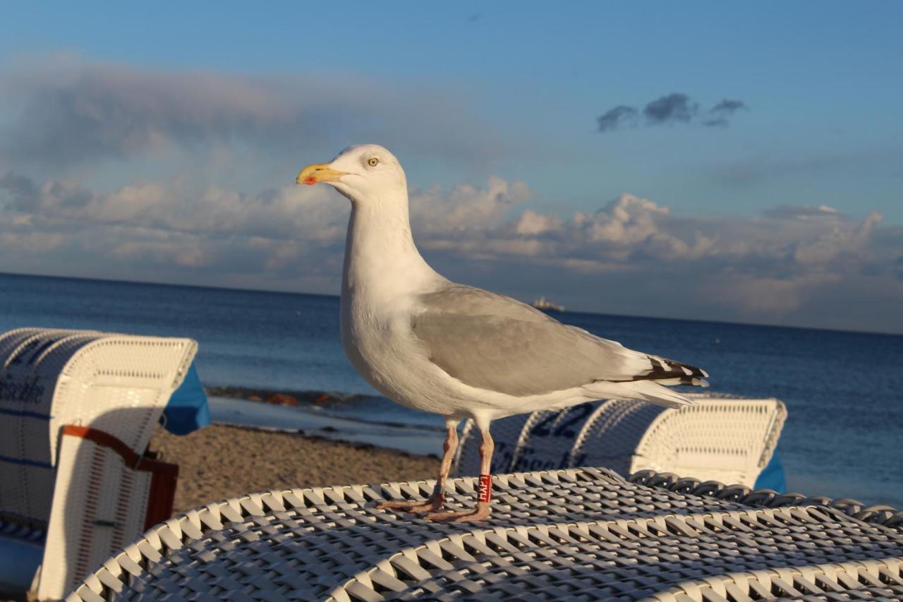 Ferienwohnungen Im Haus Strandburg 그로미츠 외부 사진